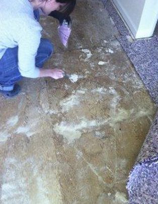Odor Detection Shows Baking Soda Under New Carpet