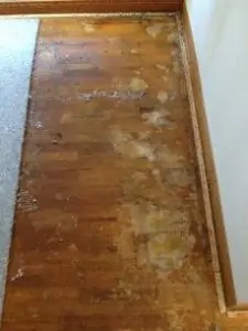 Pet Odor Disclosure Home Inspection found untreated hardwood floors