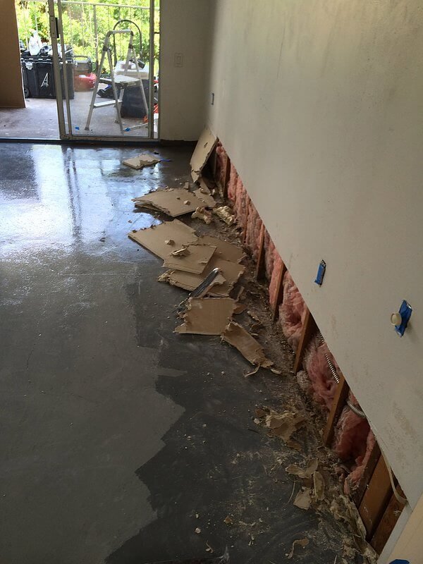 Dog urine hotsell on drywall