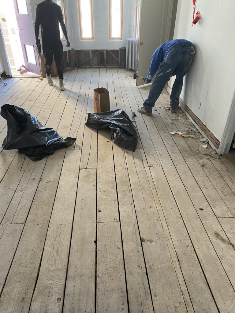 Long Beach Pet Odor Removal