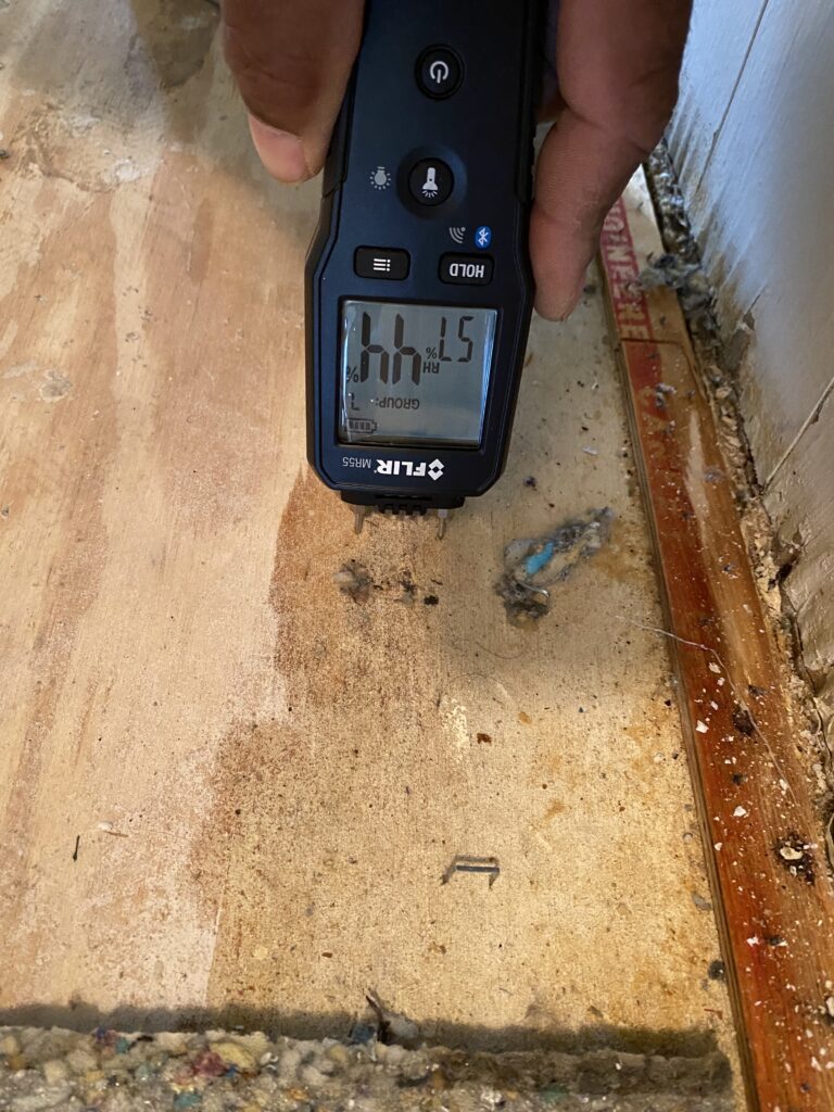 Our urine odor detection actually finds moisture then we put our nose near the stain to confirm its urine when its settle this was not. Pet Odor Inspection Wet Urine On Subfloor
