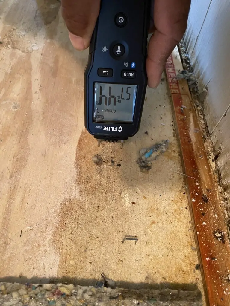 Our urine odor detection actually finds moisture then we put our nose near the stain to confirm its urine when its settle this was not. Pet Odor Inspection Wet Urine On Subfloor