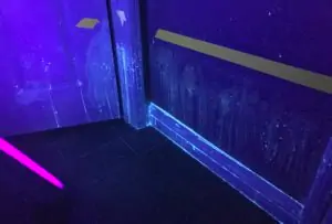 Cat Spray Stains Illuminated Under UV Black light