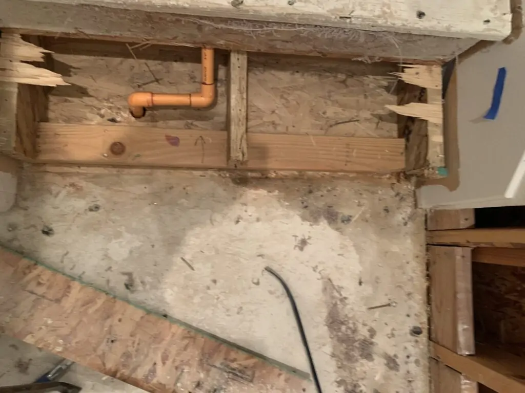 Dog urine contamination that has reached the structure below the floor