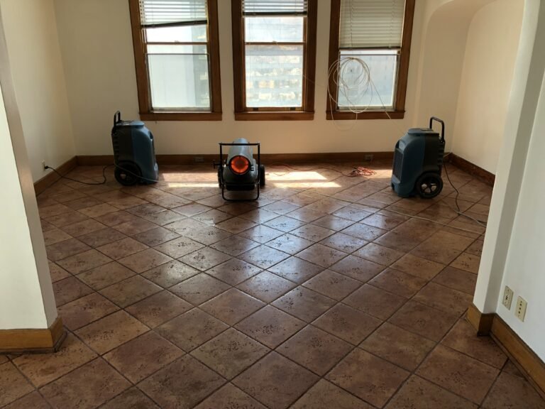 Remove Cat Urine From Tile