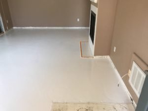 Concrete Cat Urine Odor Remediation In San Diego