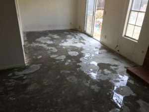 Cleaning Urine Stained Cncrete After Removing Urine Stained Carpet In Oxanrd, CA