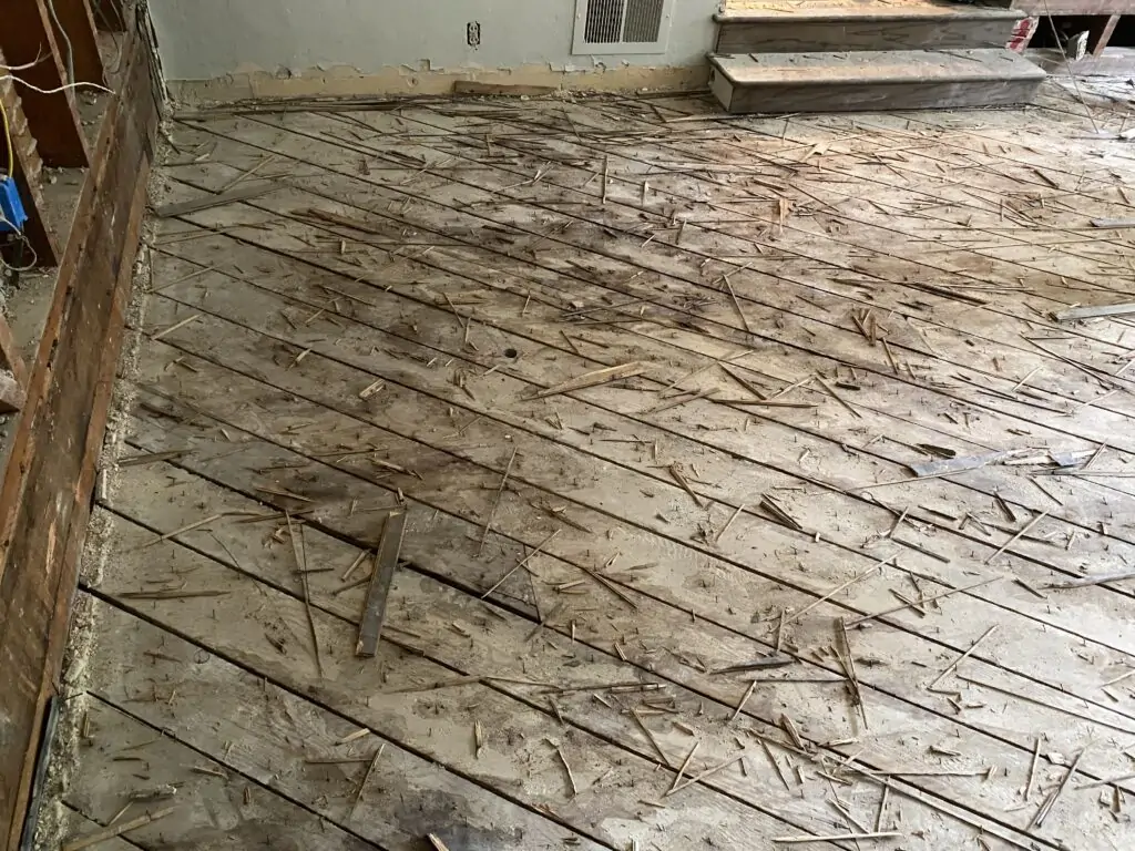 Structural framing exposed for treatment after dog urine damage