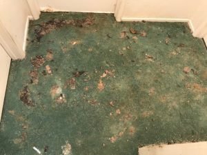 Carpet Removal Service In Los Angeles California