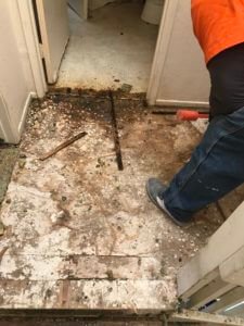 subfloor odor sealer service in Sonoma