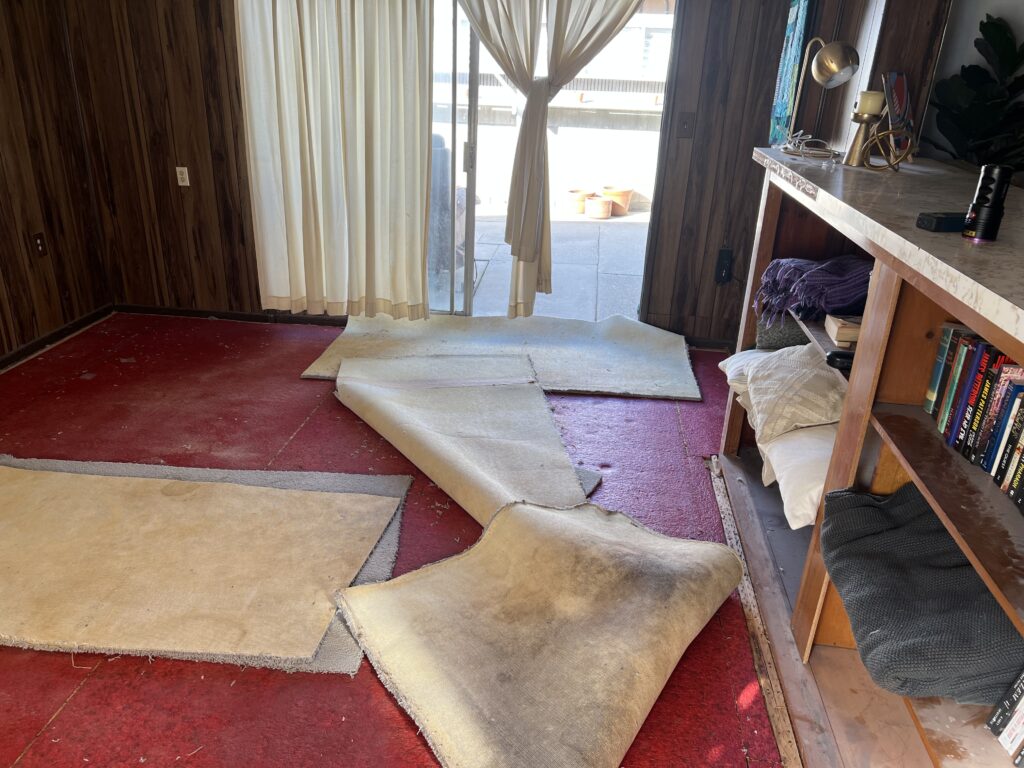 Carpet Removal Serice 