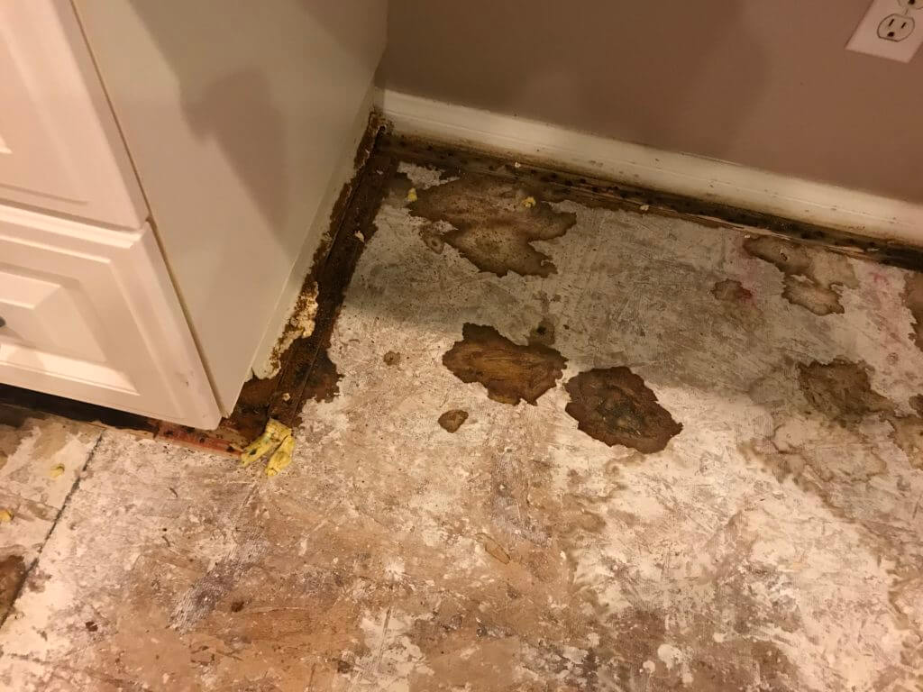 Home inspection shows subfloor urine damage 