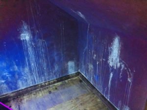 Odor Detection Service Illuminating Cat Urine On Drywall