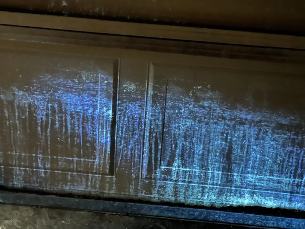 UV black light revealing hidden urine staining during a pet odor inspection