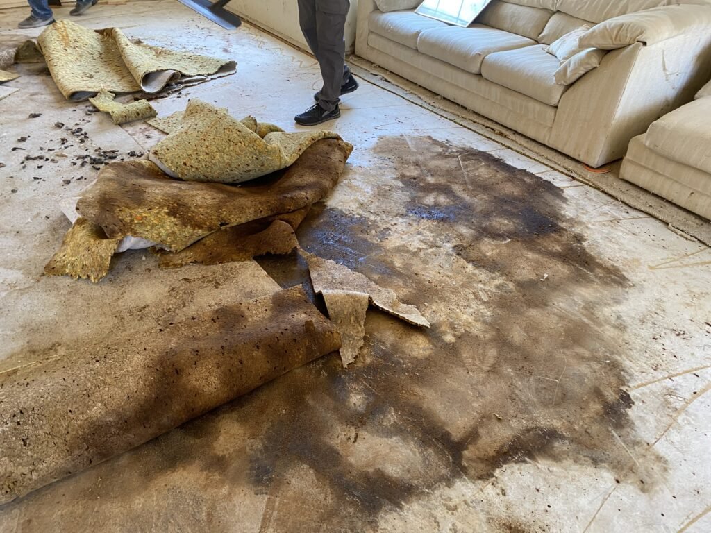 P.O.R.S. Animal Odor Removal Service