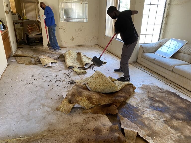 Removing Urine & Feces Damaged Carpet