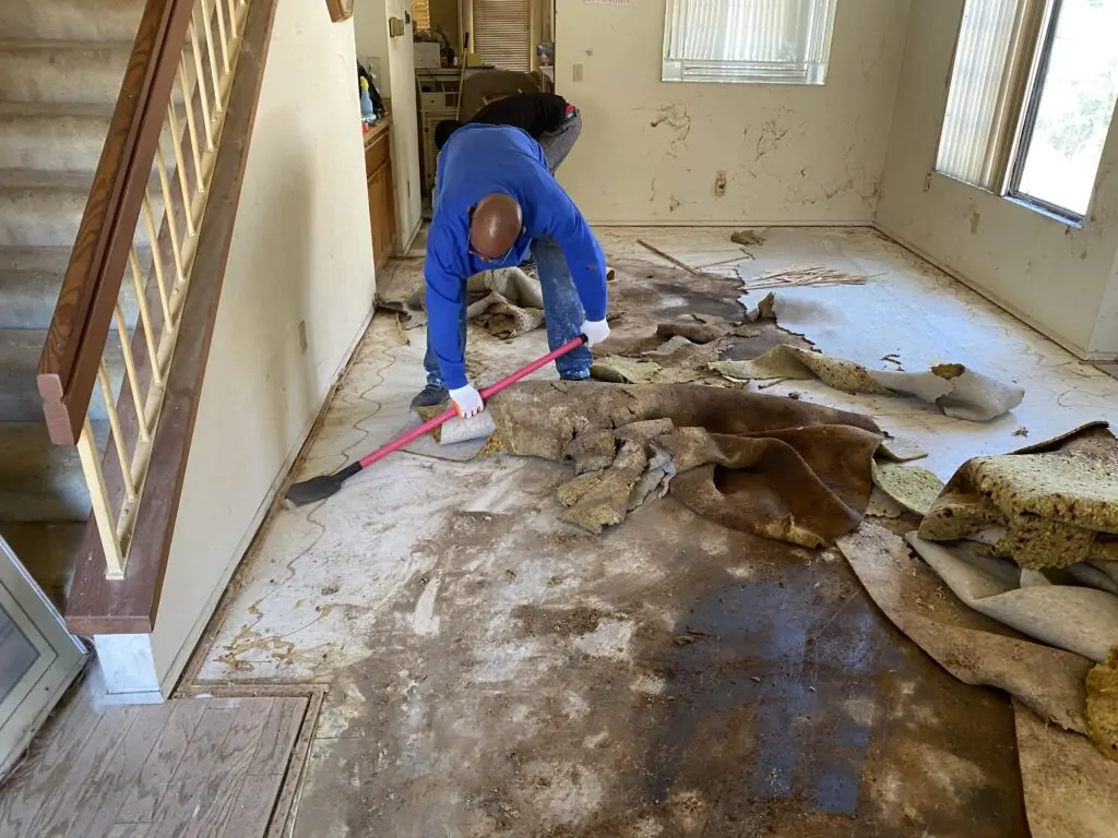 Removing Cat Urine & Feces Stained Carpet From Concrete