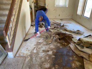 Odor Removal Service