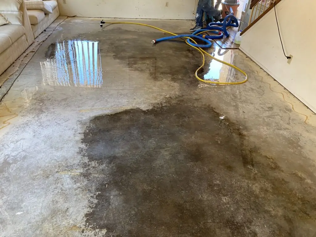 P.O.R.S. Carpet Removed from concrete the black stain is where the urine etched in the concrete. even though we power washed the concrete the odor is still present! Next step is to have the concrete sanded and sealed with odor encapsulator.