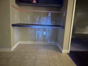 Pet Odor Inspection Cat Spray On Drywall &Urine Odor Detection