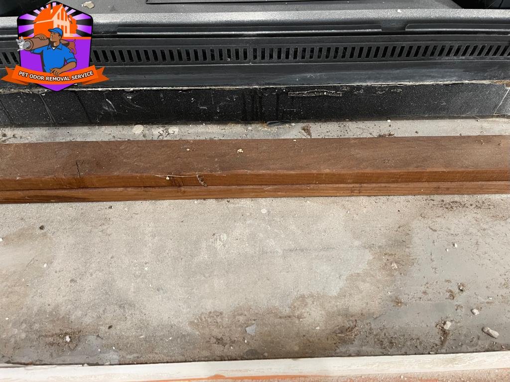 Carpet Removal Service