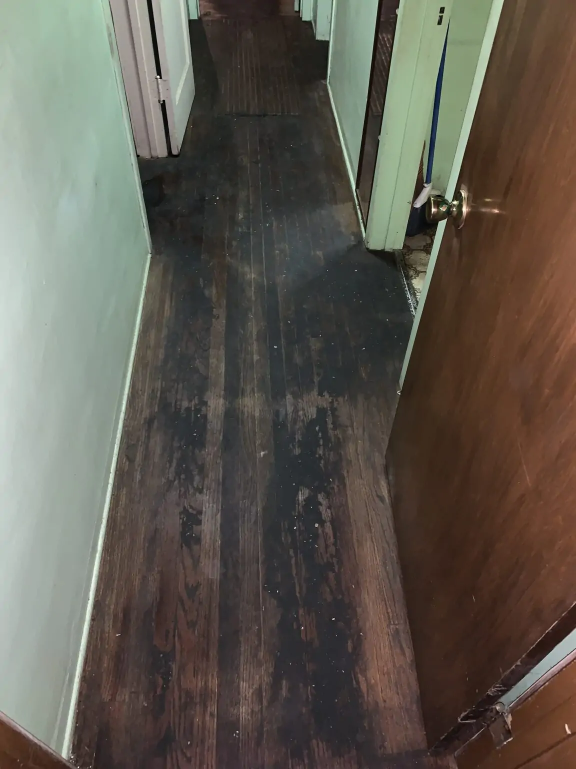 P.O.R.S. technician preparing a subfloor for odor treatment