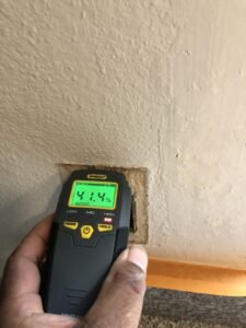 Cat Urine In House