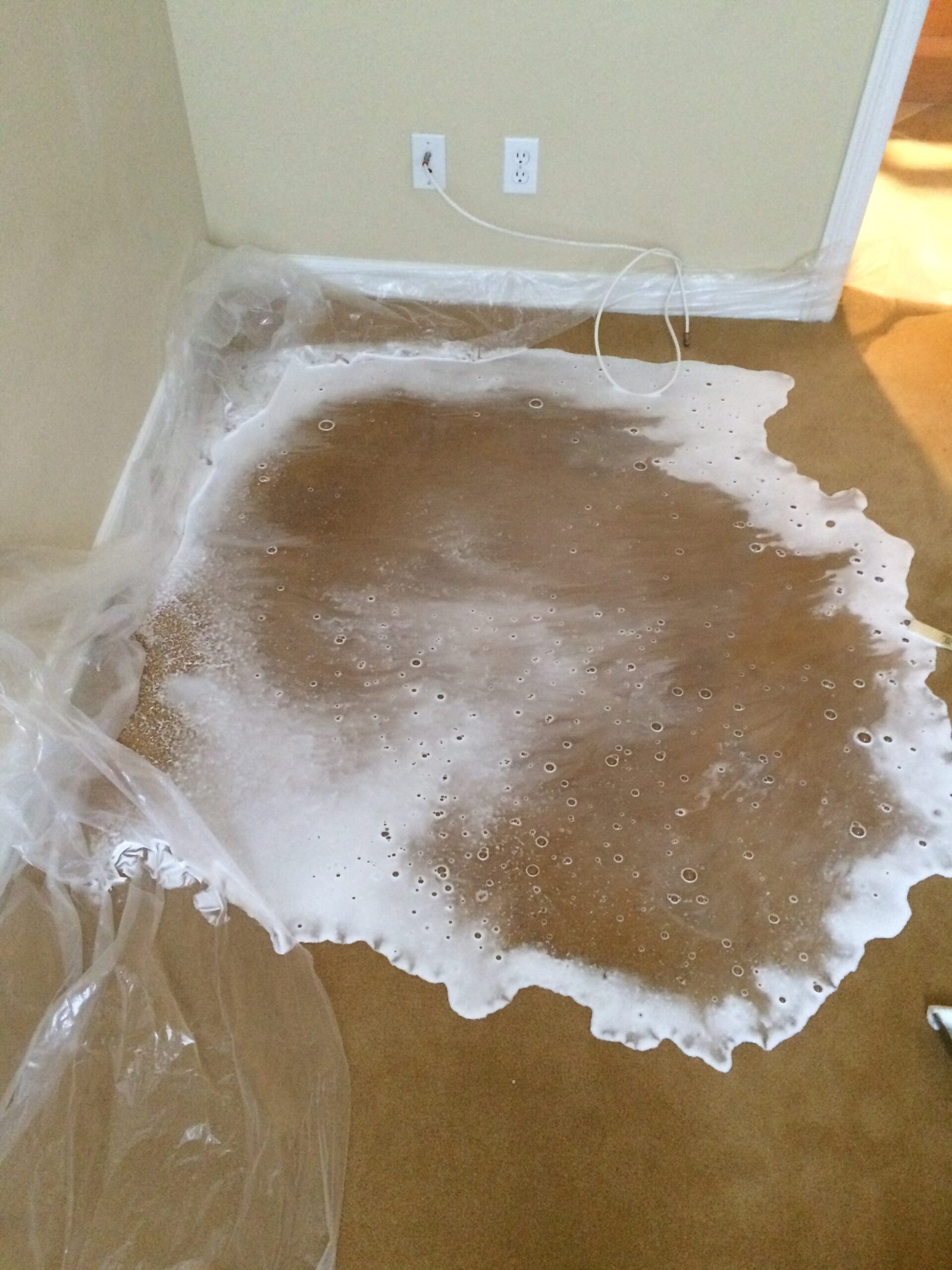 Oxidizer Urine Odor Treatment