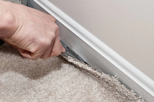 commericial carpet removal services