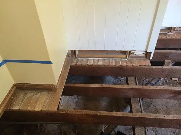 house odor removal service