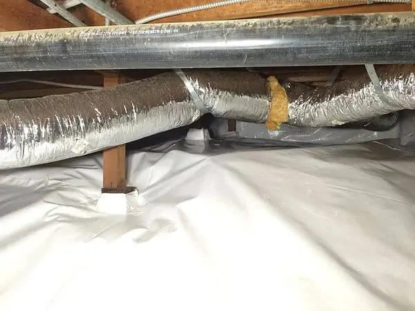 house odor removal service