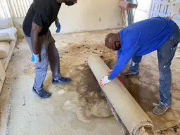 house odor removal service