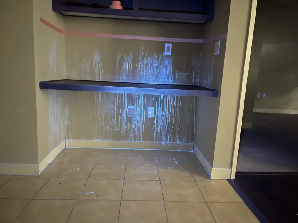 house odor removal service