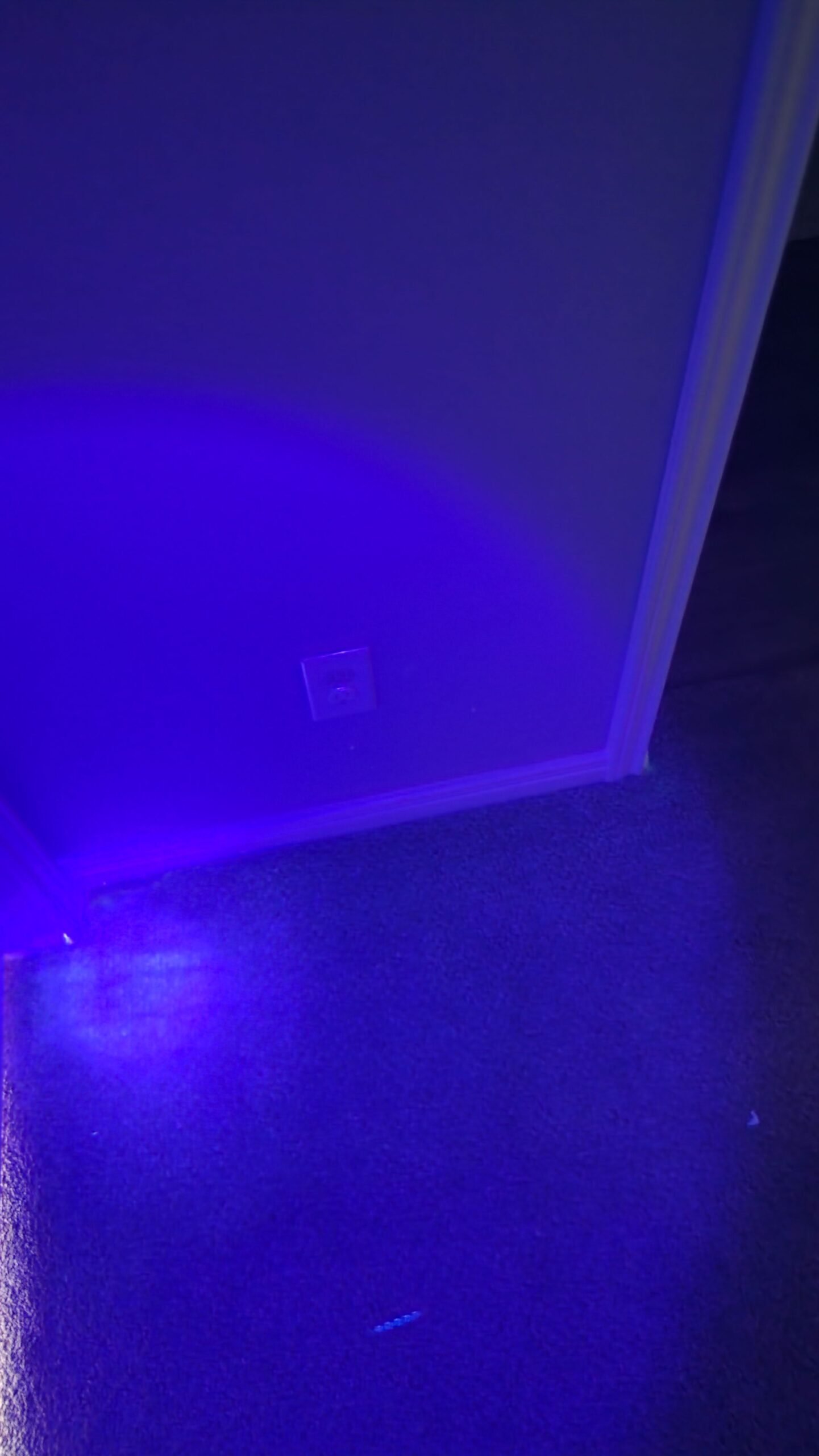 house odor removal service