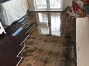 remove urine odor from LVP flooring