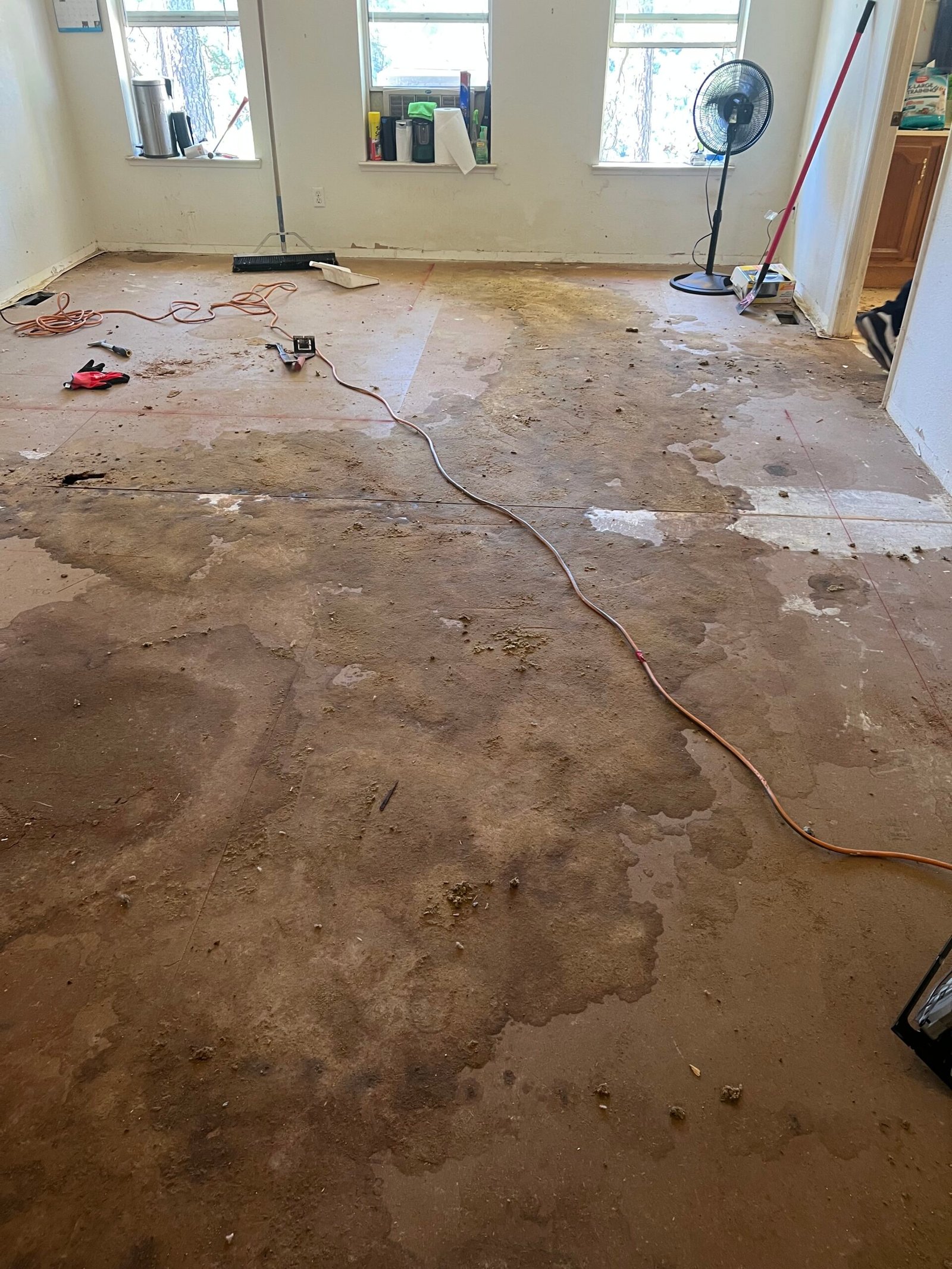 Subfloor showing urine staining during odor inspection