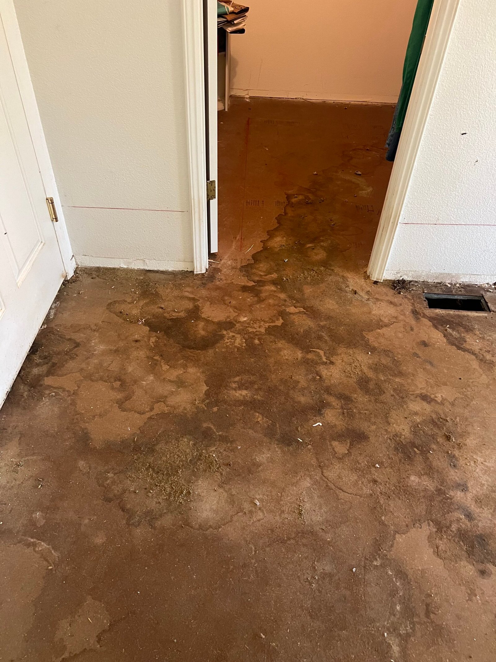 Cat urine damage under carpet and subfloor