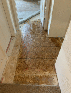pet odor removal companies
