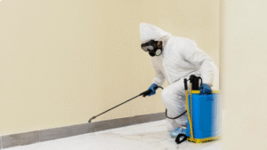 residential odor removal