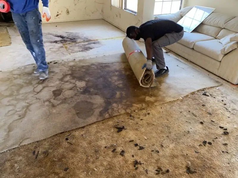carpet removal services