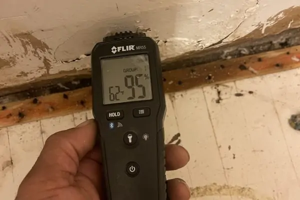 Measuring wet cat urine with a Moisture Meter