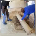 Odor Removal Service in Carson City, house odor removal, concrete odor removal